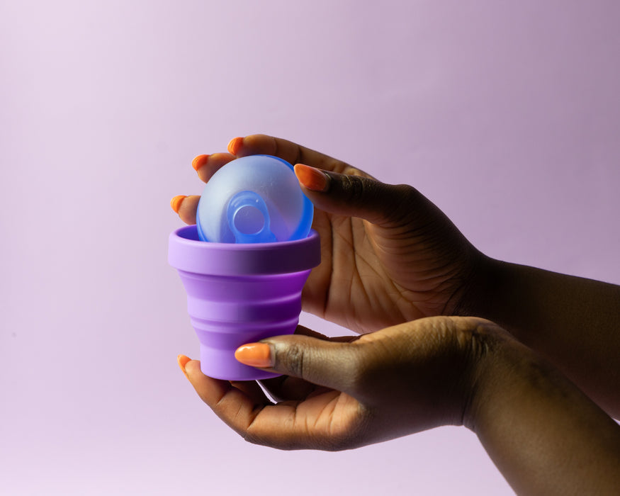 bohokiwi 月経ディスク、ディスクキャリアケース、滅菌器セット